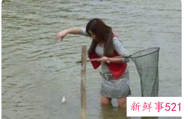 梦见自己徒手抓了几条鱼