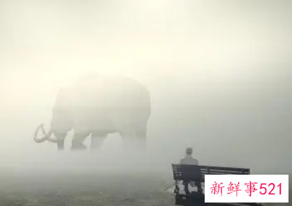 梦见死去的亲人是什么意思呢