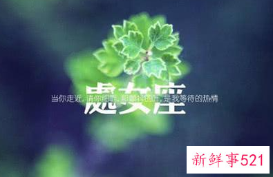 在爱情中具有强迫症的星座