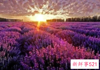 匆匆读后感1000字