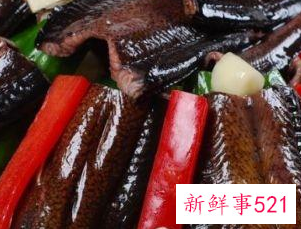 黄鳝有什么营养和功效