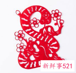 属蛇人做哪种生意最旺