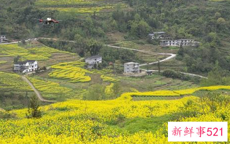 第28届山东植保会介绍