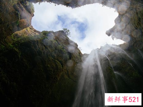 梦见巢穴是什么意思