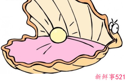 高贵的黑珍珠的寓言故事