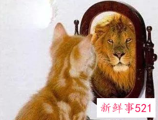 小三摆正位置认清自己