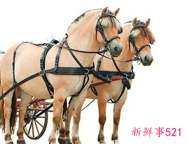 梦见轭有什么征兆