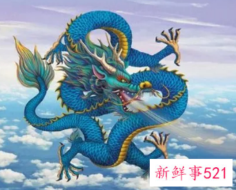 属龙客厅摆什么植物好