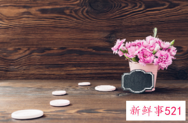 康乃馨的象征和花语