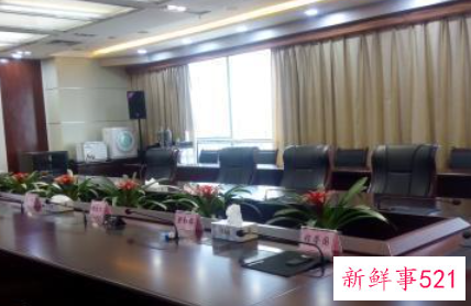 公司适合摆放什么花