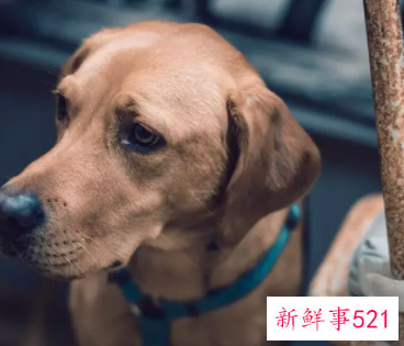 男生每天早上都会怎么解决