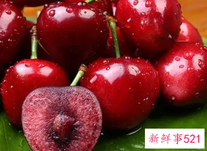 樱桃的寓意和象征