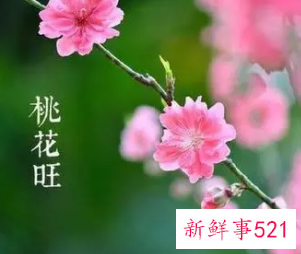 利用风水摆设改善你的桃花运