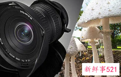 移轴镜头如何使用