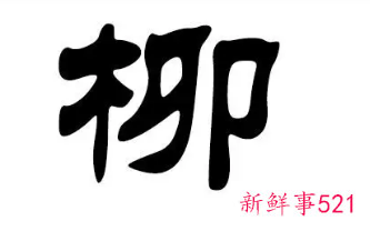 柳姓男孩新颖有涵养的名字