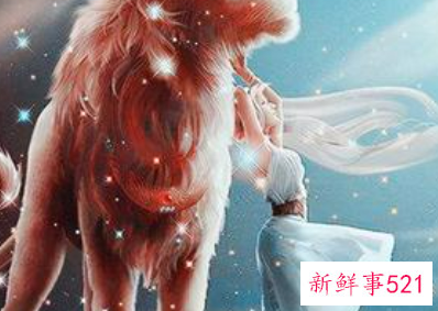 婚后一直有魅力的星座女