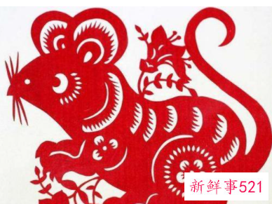 桃花运超好的生肖