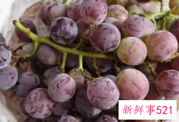 水晶葡萄功效与作用