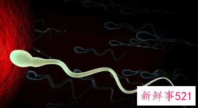 人工授精有什么注意事项