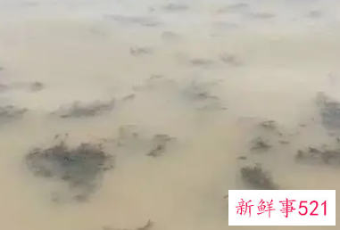 做梦梦见混浊的水