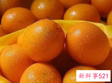 金桔的功效与作用是什么