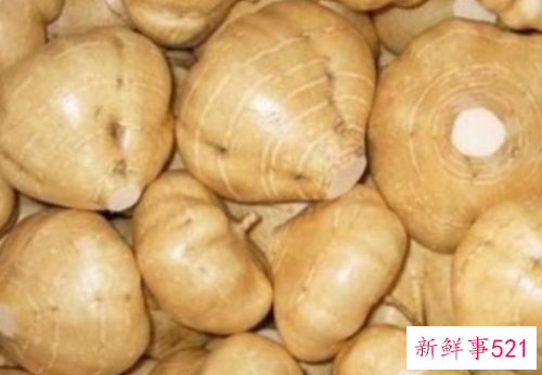 豆薯的养护知识