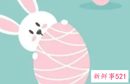 兔子医生童话故事