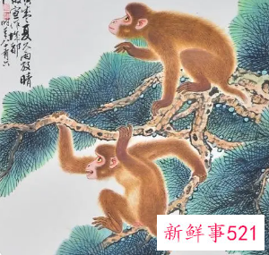 属猴人永久吉利的数字1992年