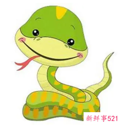 属蛇人做哪种生意最旺