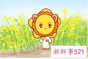 哪几个星座厉害