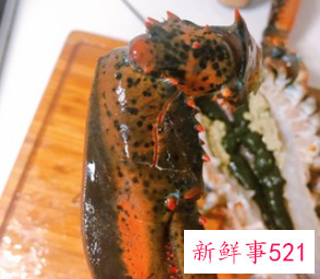 蒜蓉大龙虾的家常做法