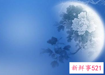 蓝色的性格的人爱情观