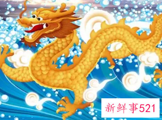 属龙客厅摆什么植物好