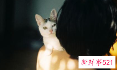 男的喜欢女的有什么表现