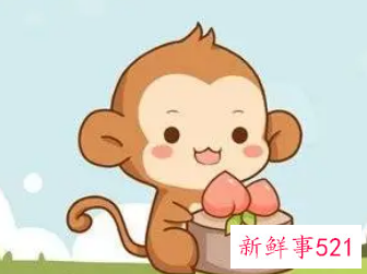 属相猴佩戴什么能旺财