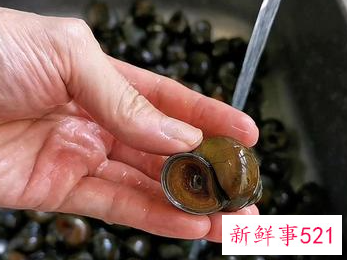 排骨田螺煲怎么做