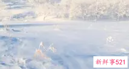 梦见堆积雪什么意思