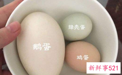 孕妇吃橙子可以吗