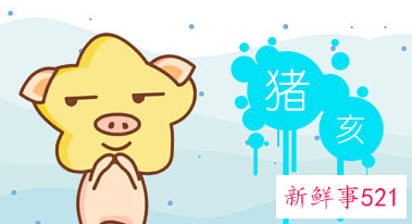 属猪带什么首饰