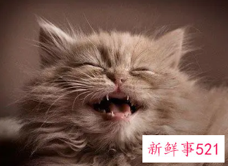 女人梦见自己哈哈大笑醒来