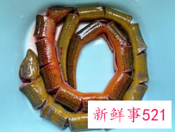 正宗清炖鳝鱼的做法