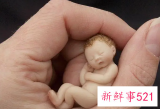 11月25日出生的人