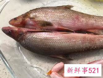 鱼和红薯可以同食吗