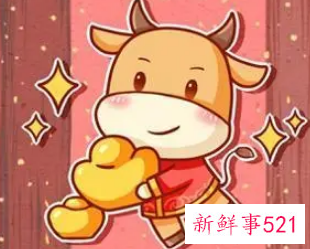 属牛女每月运势