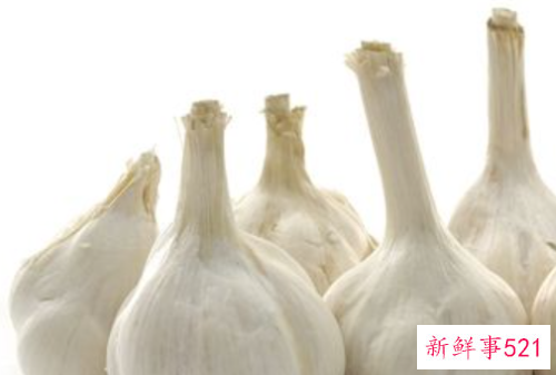 最有营养的食物