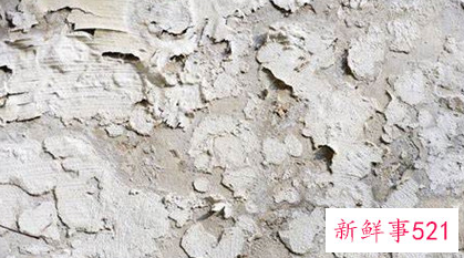 掉墙皮能贴壁纸吗