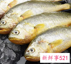 野生黄鱼怎么保存更新鲜