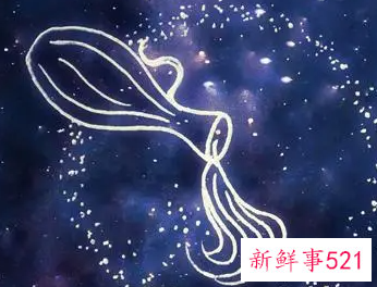 水瓶是怎么折磨天蝎的