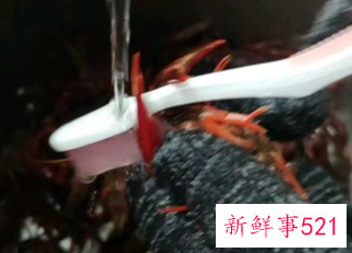 龙虾的烹饪方法