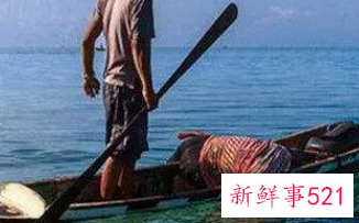 梦到抓鱿鱼是什么意思